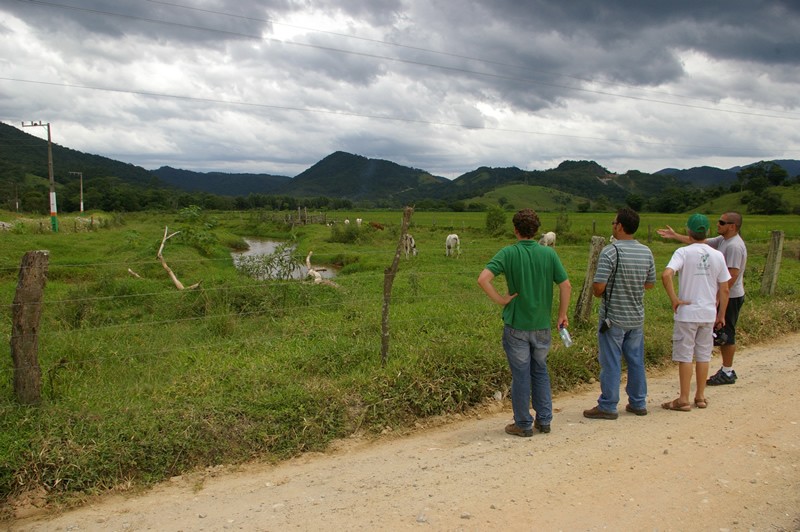 Especialista avalia vegetação na bacia do Rio Camboriu