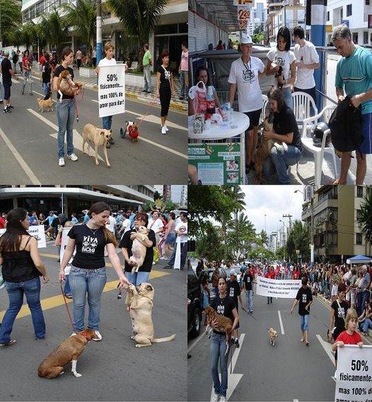 1ª Cãominhada de Balneário Camboriú acontece no domingo