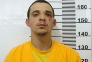 arninho arninho