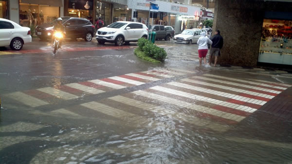 Avenida Brasil Michele De Souza