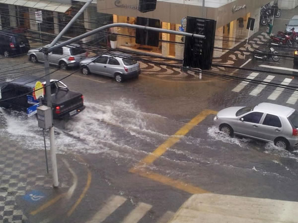 Avenida Brasil Ninho Junior