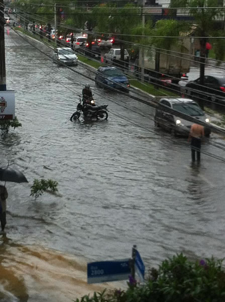 Terceira Avenida - Marta Arruda