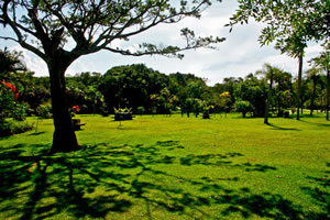 Parques ambientais são atrativos durante o outono 1 Foto: Ccelso Peixoto
