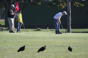 Resort de Itapema recebe campeonatos de golfe e tênis no próximo fim de semana