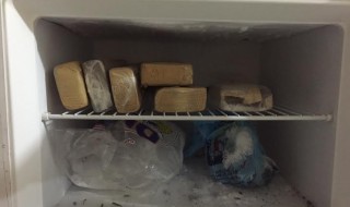 droga na geladeira