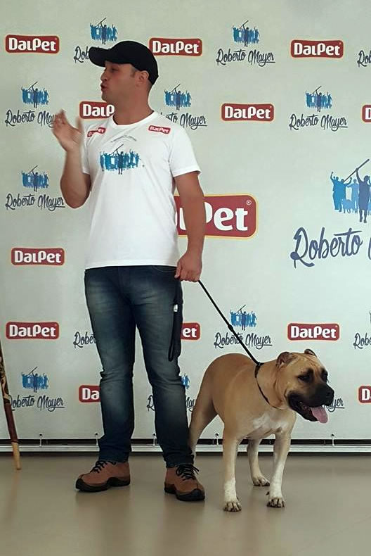 roberto mayer e buddy