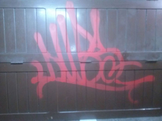 vandalismo5