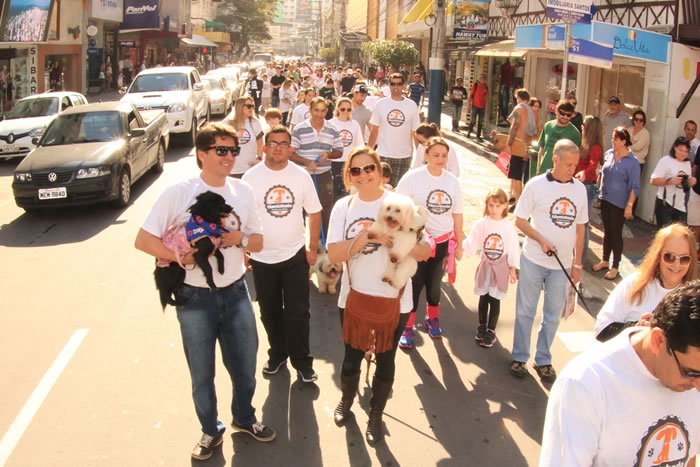 6ª Cãominhada reuniu mais de uma centena de cães