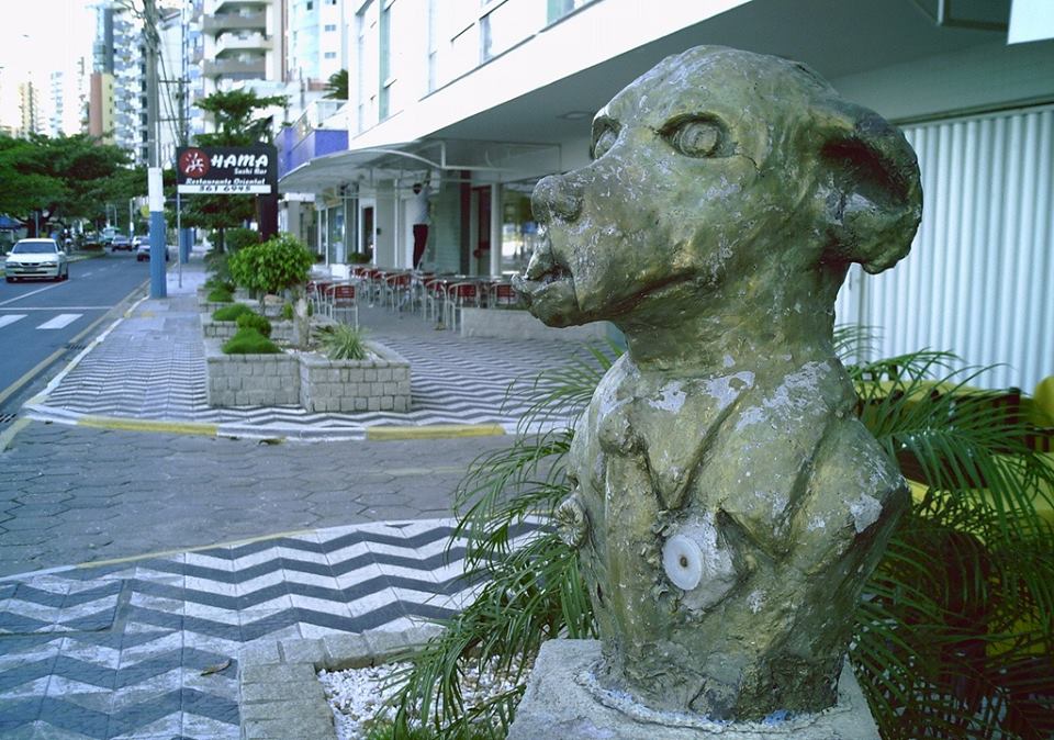 Sorriso, o cãodidato de Balneário Camboriú