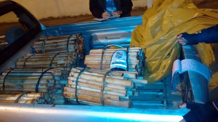 Guardas municipais detém utilitário com carga clandestina de palmitos