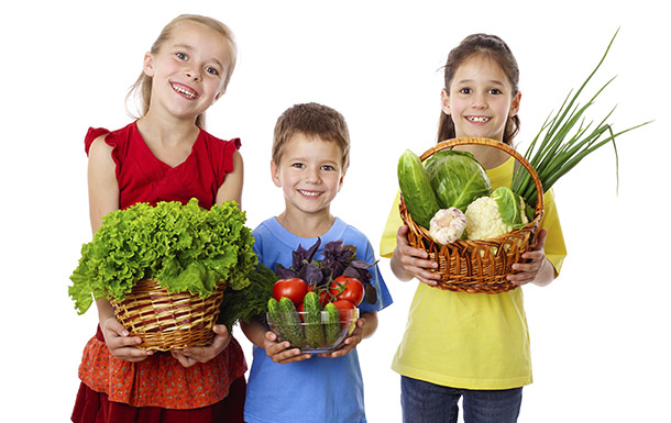 Projeto “Dieta da Escola” é aprovado em Camboriú