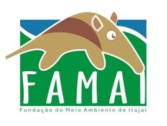 Vereadora questiona recursos do Fundo Municipal do Meio Ambiente de Itajaí