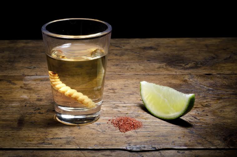 Restaurante Mexicano de BC traz bebida com larva de borboleta