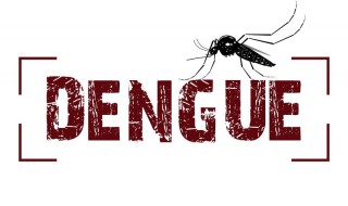 dengue