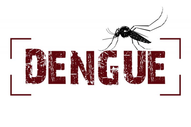 Balneário Camboriú registra primeiro caso autóctone de dengue