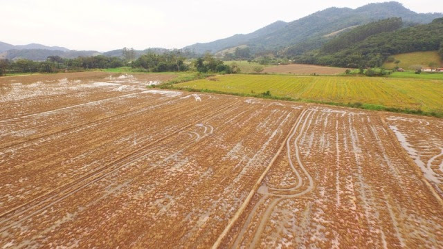 Final de semana tem Seminário sobre agricultura familiar