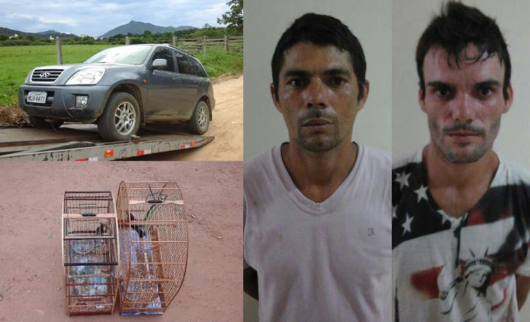 Quadrilha é presa usando veículo roubado após furtar passarinhos