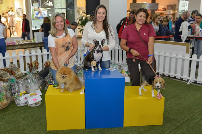 Pódio dos cães mais simpáticos da tarde (Carlos Alberto Alves / divulgação)