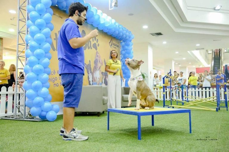 Atlântico Shopping promove terceira edição do Atlanticão neste final de semana