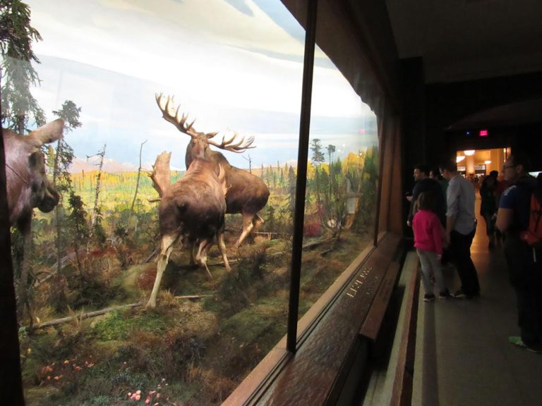 Museus de NY