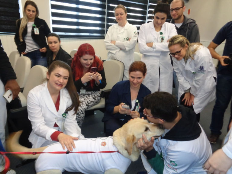 Cachorro dos Bombeiros contribuirá no tratamento de pacientes do Hospital Marieta