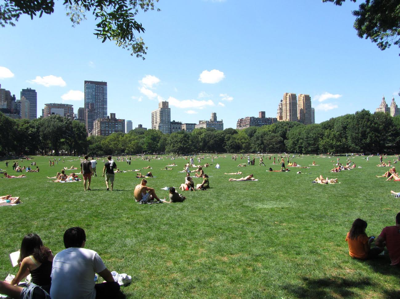 Chegamos, enfim, ao Central Park 1 Central Park
