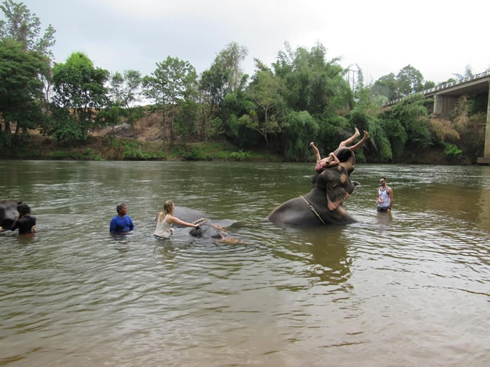 Banho com elefantes na Tailândia