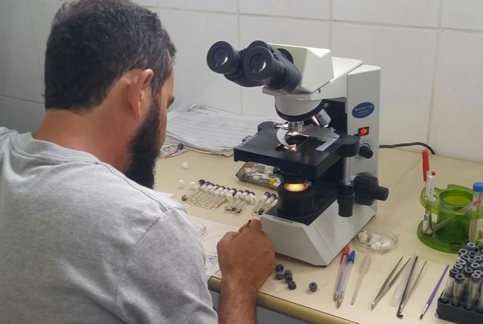 Camboriú realiza força-tarefa contra o mosquito Aedes Aegypti no próximo sábado, dia 28