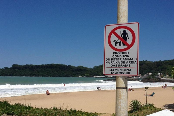 Placas proibindo animais na areia são instaladas nas praias de Itajaí 1 proibido animal praia itajai