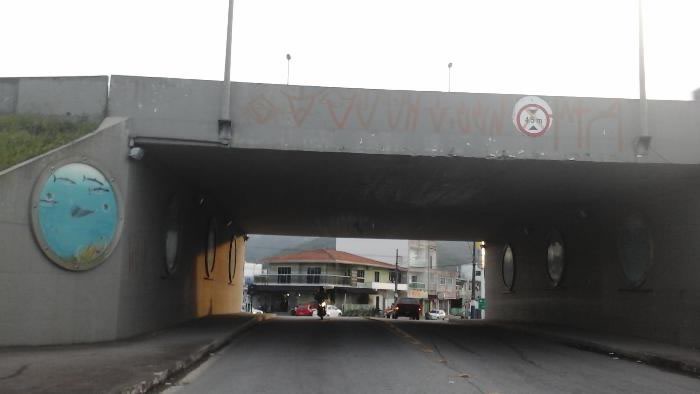 Polícia Militar flagra pichador em viaduto, em Balneário Camboriú