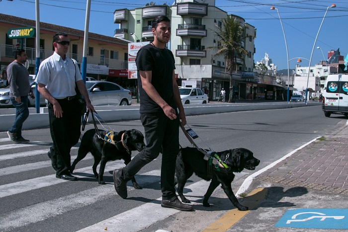 Run4More promove corrida de rua em prol da Escola de Cães Guia Helen Keller