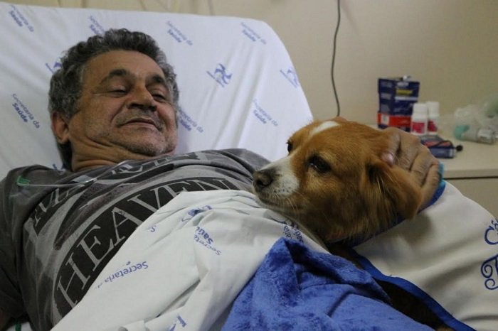 Cão Terapia anima tarde de pacientes no Hospital Ruth Cardoso