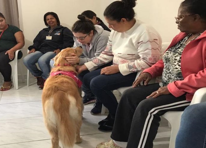 Cão terapeuta leva alegria para dependentes químicas em tratamento, em Itajaí