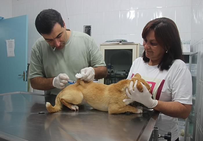 Vereadora Renata Narcizo recebe doação de vacinas e doa para a UAPA