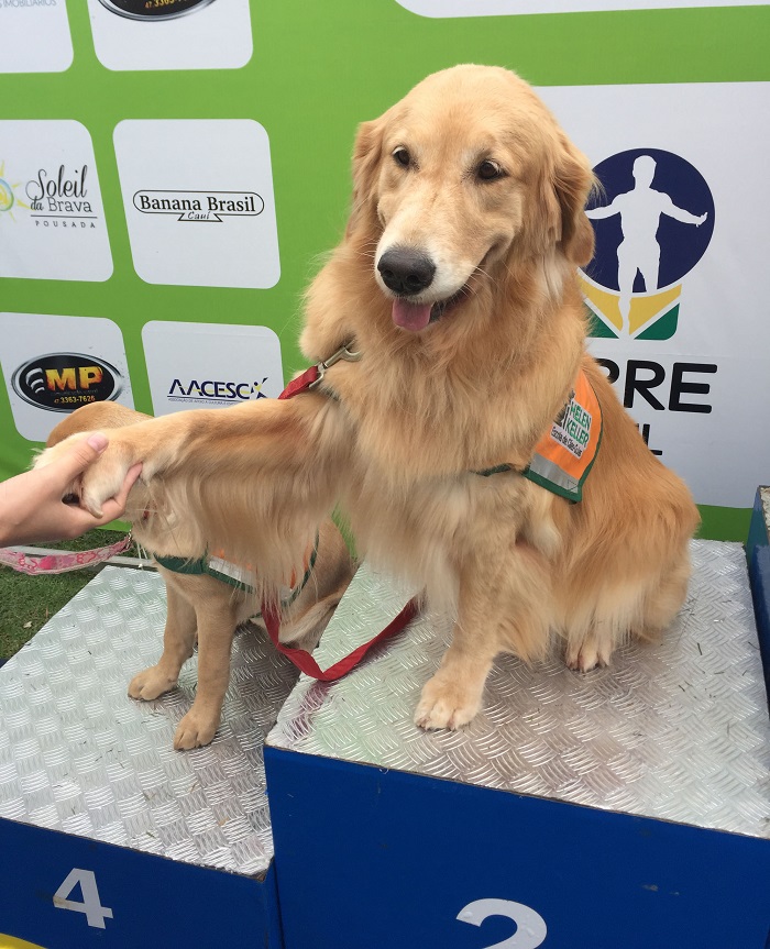 Corrida arrecada R$ 20 mil para Escola de Cães Guia Helen Keller