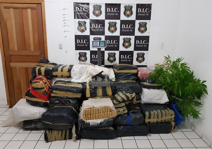 DIC de Itajaí apreende uma tonelada e meia de maconha e prende quatro indivíduos