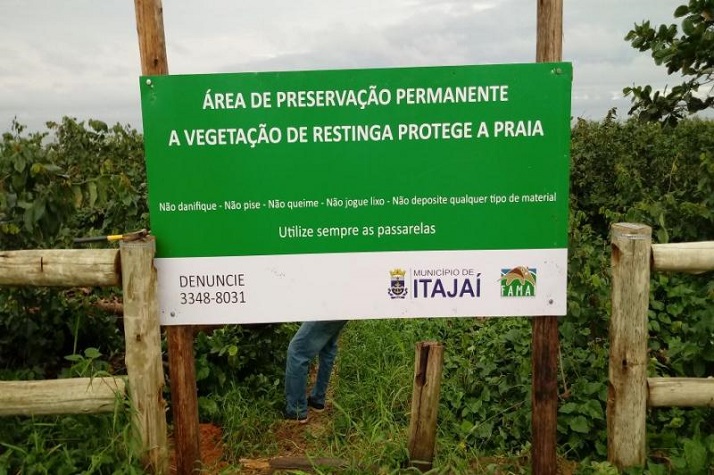Recuperação ambiental da restinga da Praia Brava inicia na próxima semana