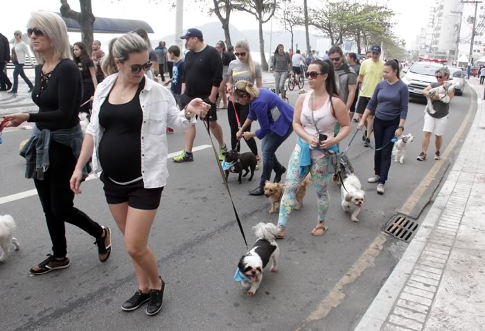 Cãominhada acontecerá no dia 13 de julho em Balneário Camboriú