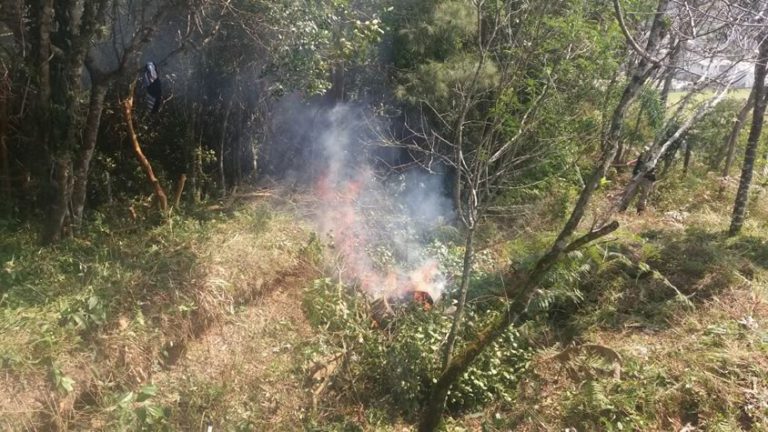 Grupo de Proteção Ambiental atende ocorrência de desmatamento no bairro São Judas Tadeu