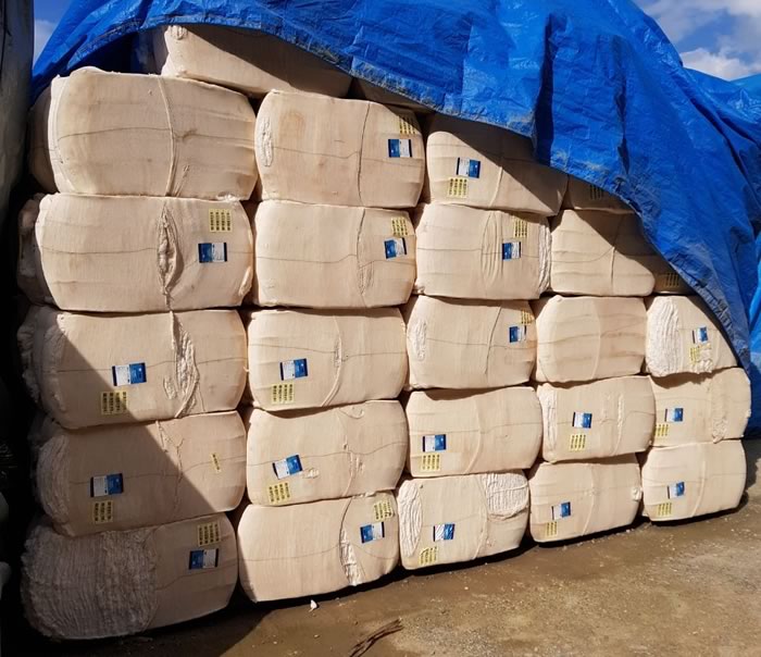 DIC de Itajaí recupera 26 toneladas de plumas de algodão
