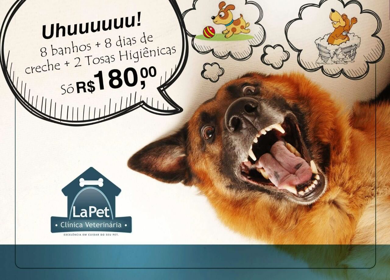Clínica veterinária La Pet está com promoção de banho, tosa e creche, em Balneário Camboriú