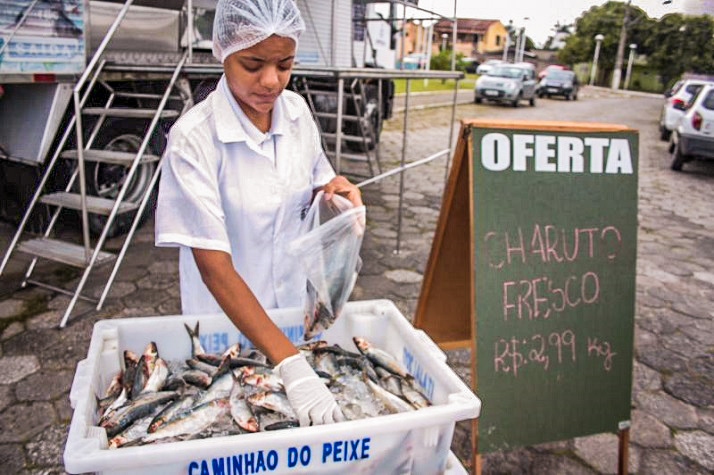Safra do Charuto começa com preço promocional no Caminhão do Peixe de Itajaí 1 caminhao do peixe charuto edited