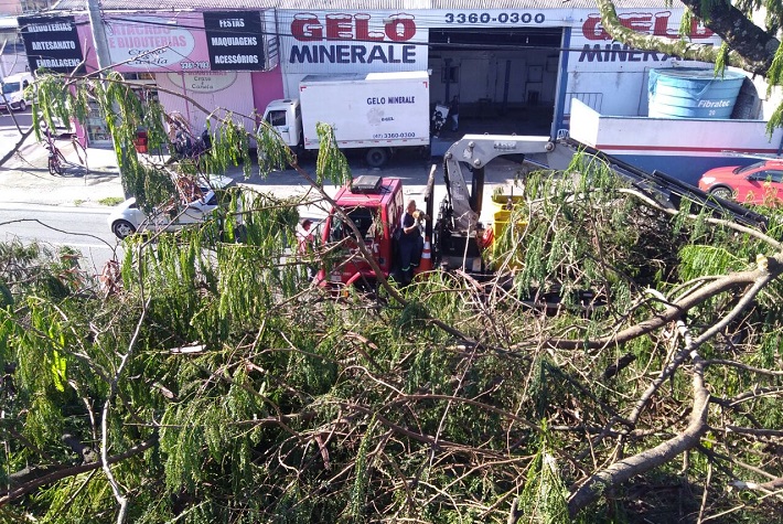 Empresa privada pratica crime ambiental na BR-101, em Balneário Camboriú
