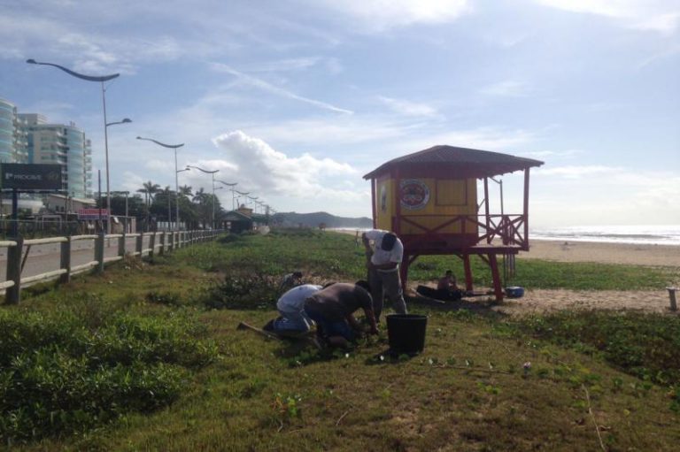 Famai planta mais de 400 mudas para recuperação de restinga na Praia Brava