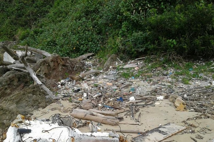 Mutirão de limpeza será realizado nas praias de Itajaí neste domingo