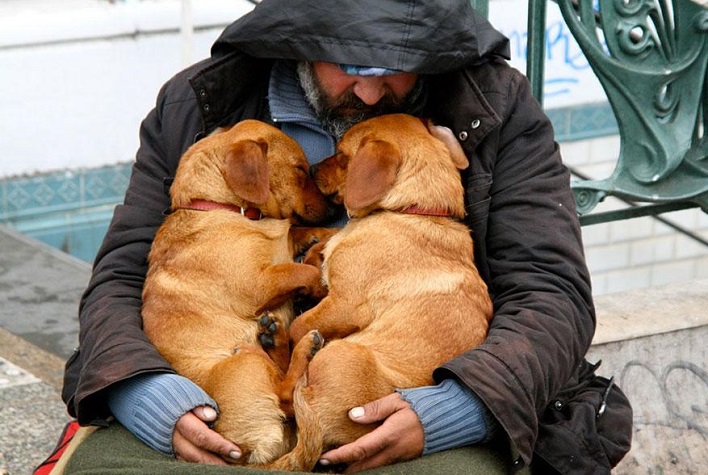 Moradores de rua podem levar seus cães para abrigo de inverno de Itajaí
