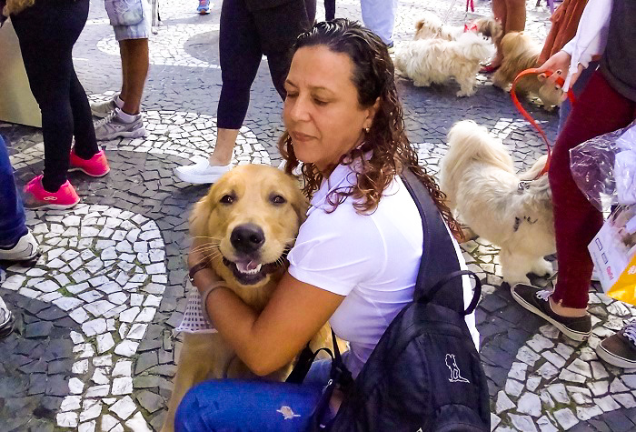 Campanha educacional da Cãominhada será sobre cães-guias