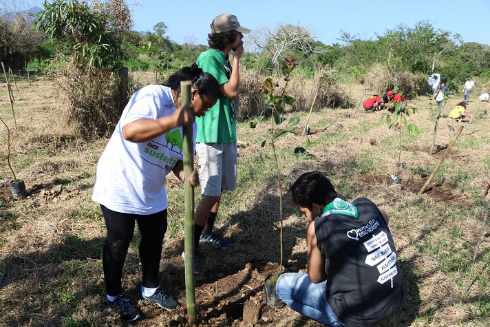 Fucam promove plantio de 550 mudas de plantas nativas às margens do Rio Camboriú