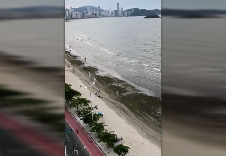 Técnicos discutem primeiros resultados dos estudos sobre a Praia Central de BC