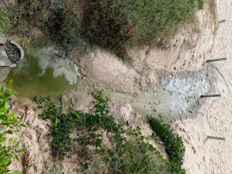 Água verde com limo é descartada de forma irregular na praia do Estaleirinho
